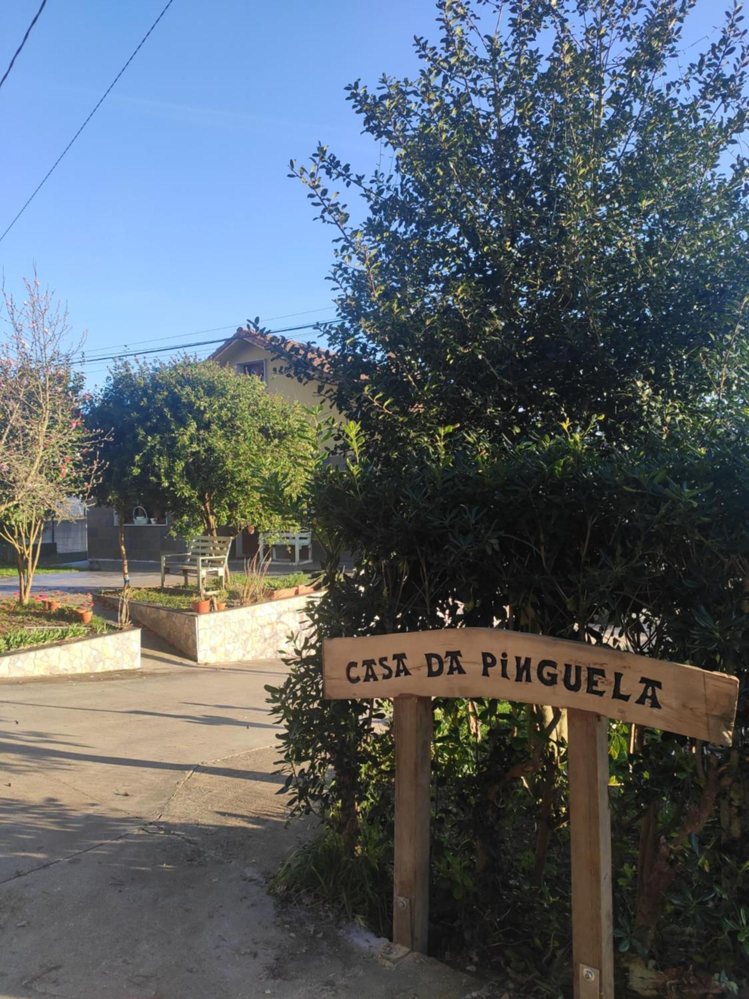 Casa Da Pinguela Camino Ingles Villa Ordes Buitenkant foto